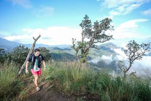 BIB: 
                            <button type="button" onclick="openModal(22371818)" class="btn btn-primary btn-sm float-right btn-popup" data-toggle="modal" data-target=".modal-high-quality">
                        <i class="fas fa-shopping-cart"></i> Add to Cart
                    </button>
                                            <button type="button" onclick="isThisMe(22371818, true)" class="btn btn-success btn-sm float-right btn-popup btn-isme hidden" data-toggle="tooltip" data-placement="bottom" title="นี่คือรูปของคุณใช่ไหม คลิกที่นี่เพื่อเอาเข้าอัลบั้ม">
                        <i class="fas fa-plus"></i> Add to album
                    </button>
                    <button type="button" onclick="isThisMe(22371818, false)" class="btn btn-warning btn-sm float-right btn-popup btn-isnotme hidden">
                        <i class="fas fa-ban"></i> Remove from album
                    </button>